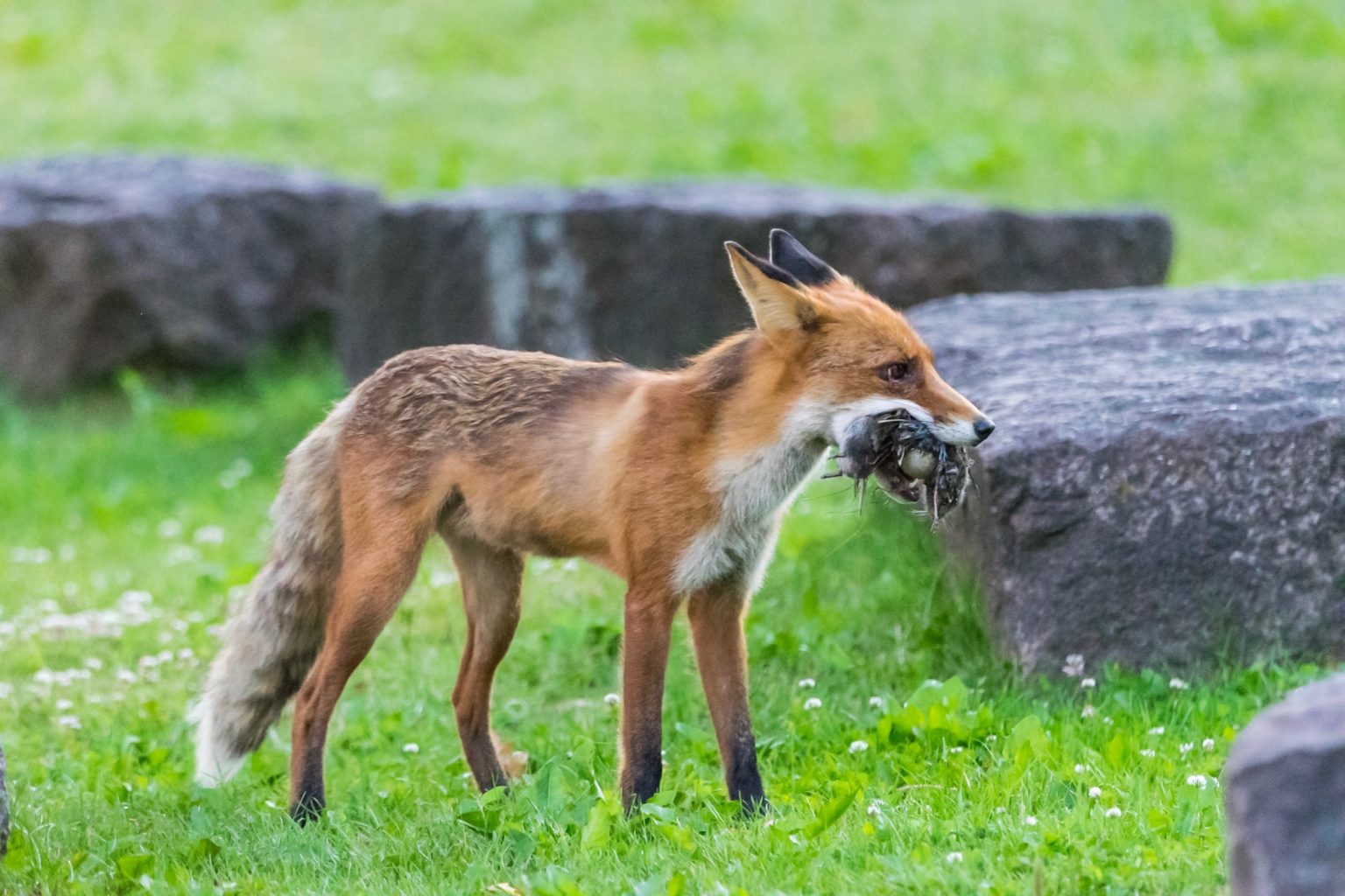 Valokuvaaja: Paul Stevens
