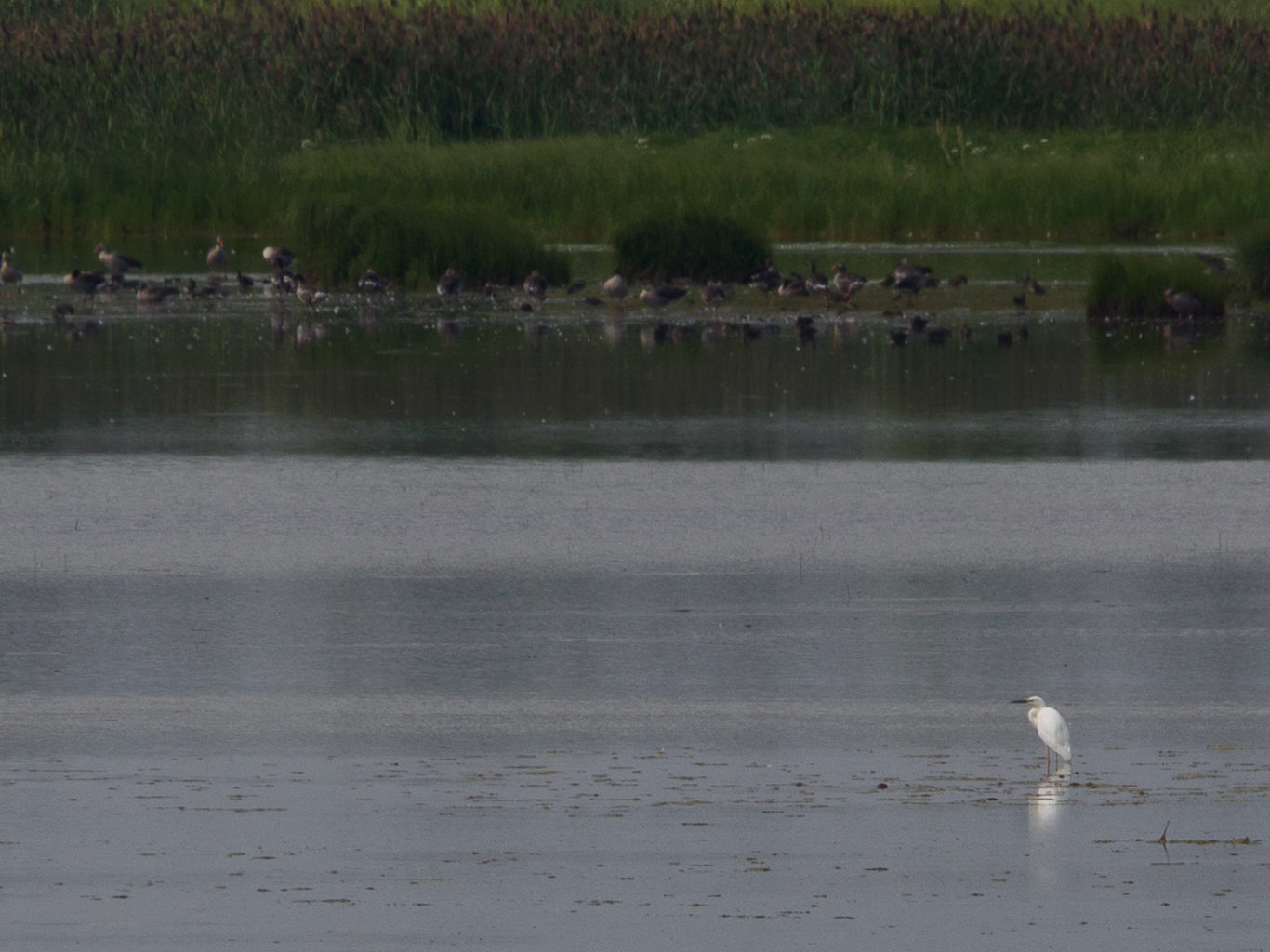 Valokuvaaja: Sirkka Karppinen