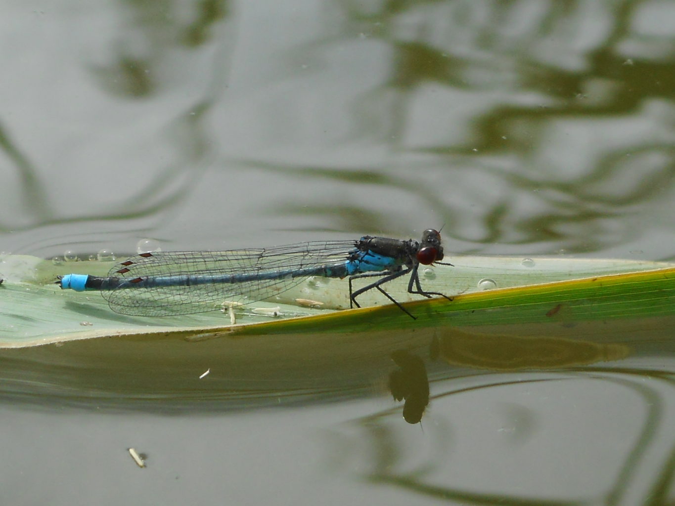 Valokuvaaja: Kalle Selin