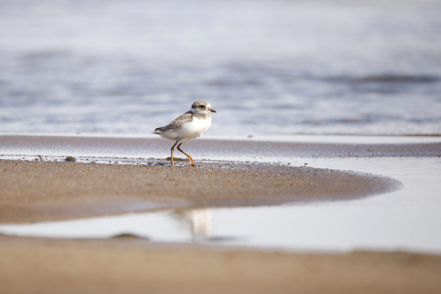 Valokuvaaja: Anne Moilanen