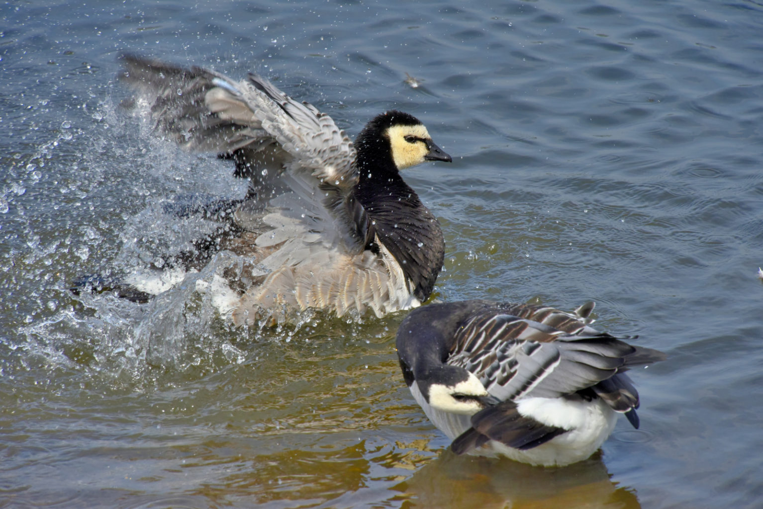 Valokuvaaja: Reijo Juurinen