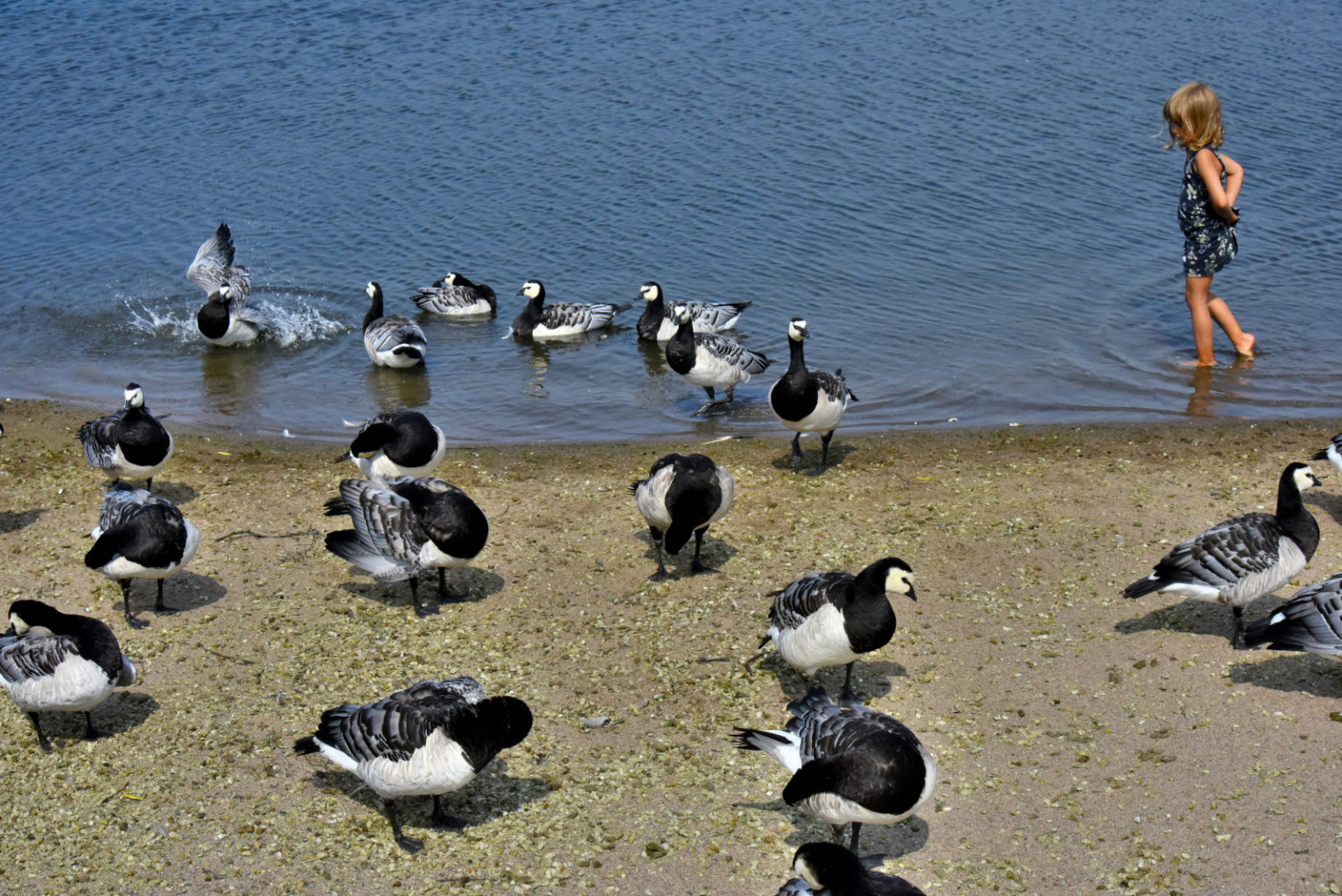 Valokuvaaja: Reijo Juurinen
