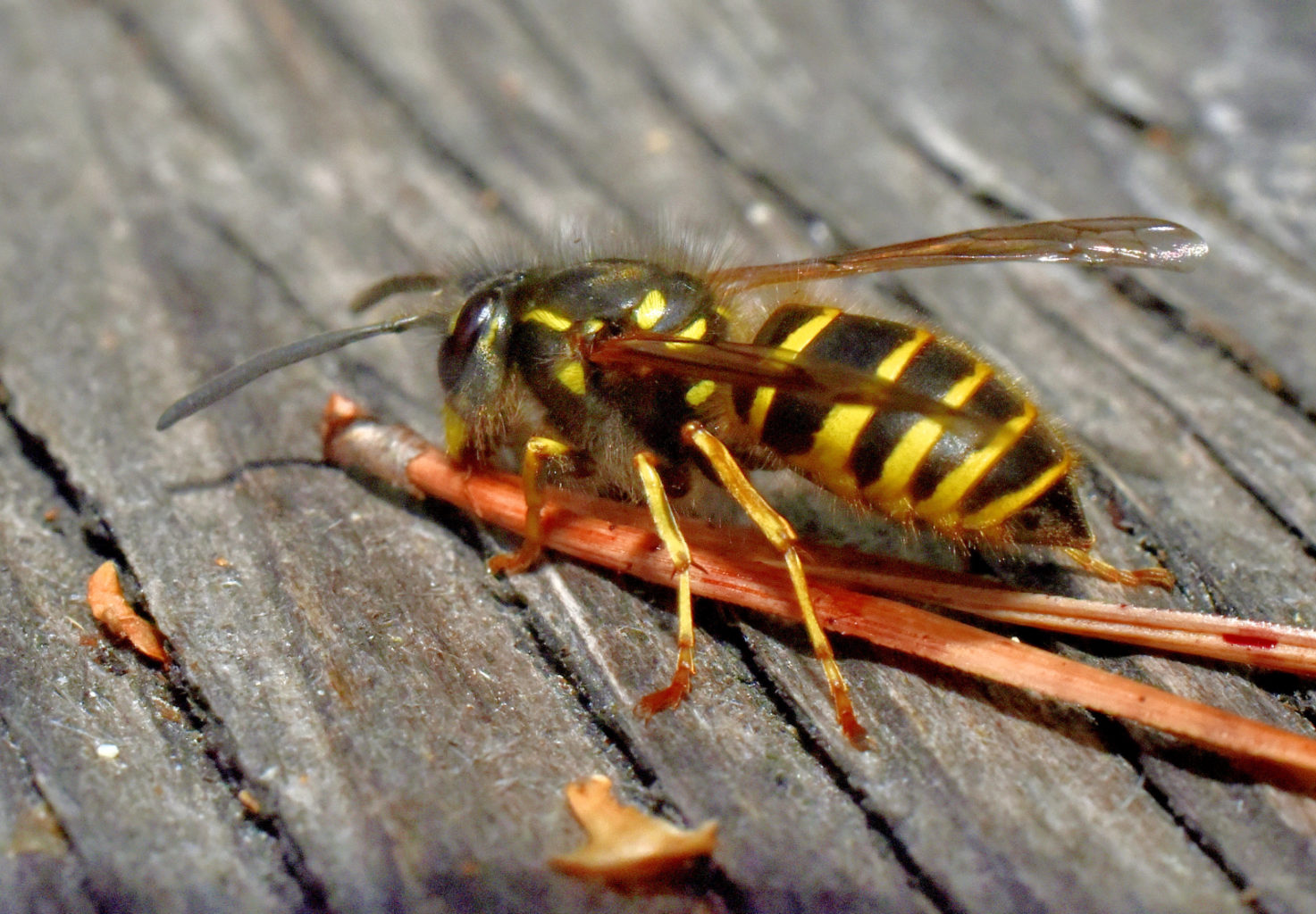 Valokuvaaja: Reijo Juurinen