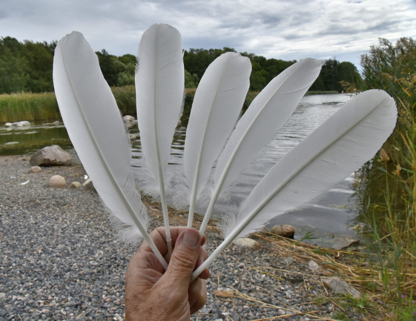 Valokuvaaja: Reijo Juurinen