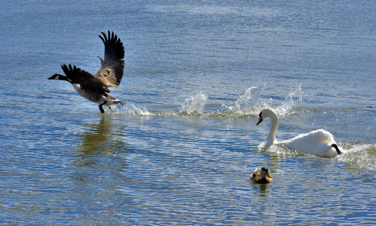 Valokuvaaja: Reijo Juurinen
