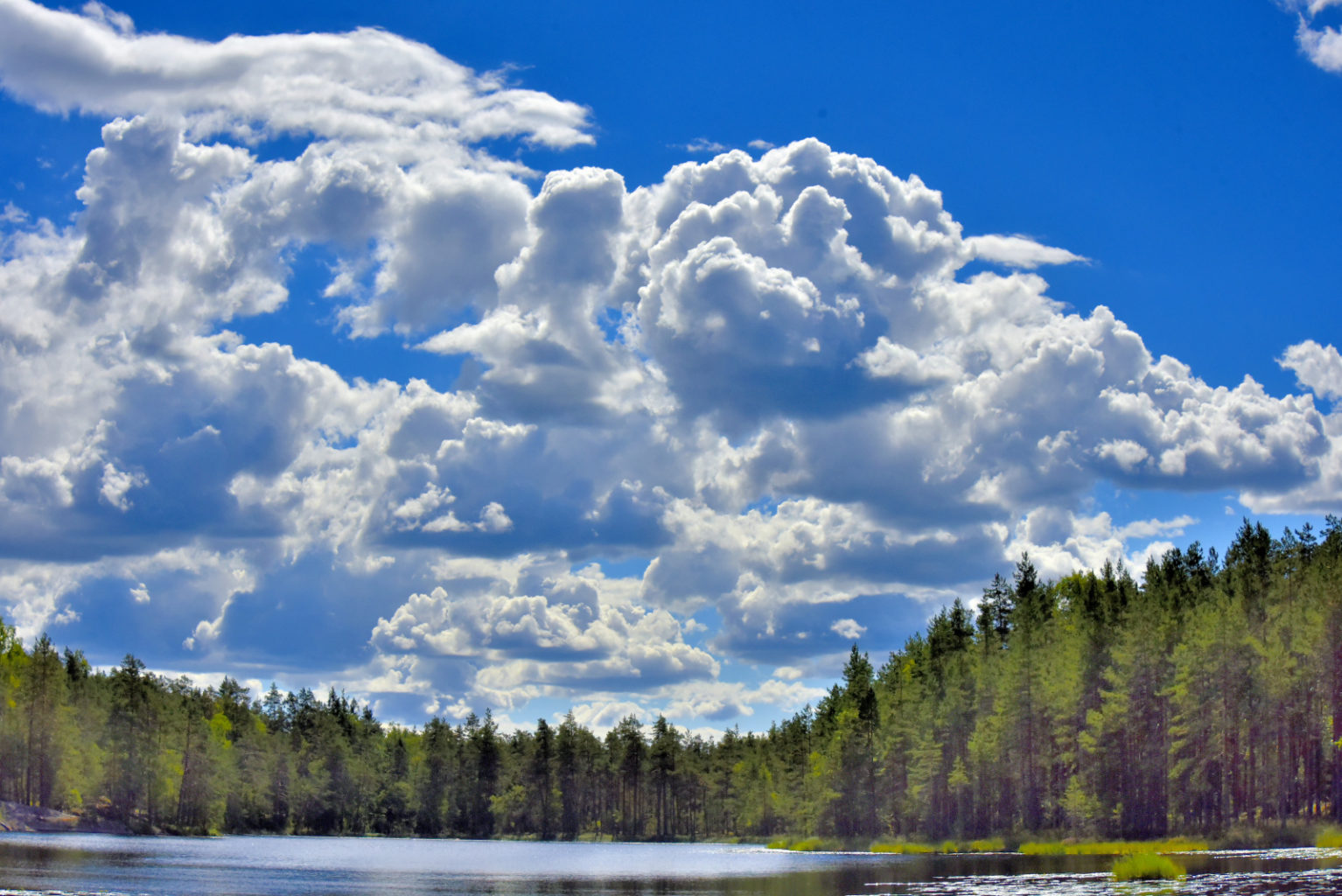 Valokuvaaja: Reijo Juurinen