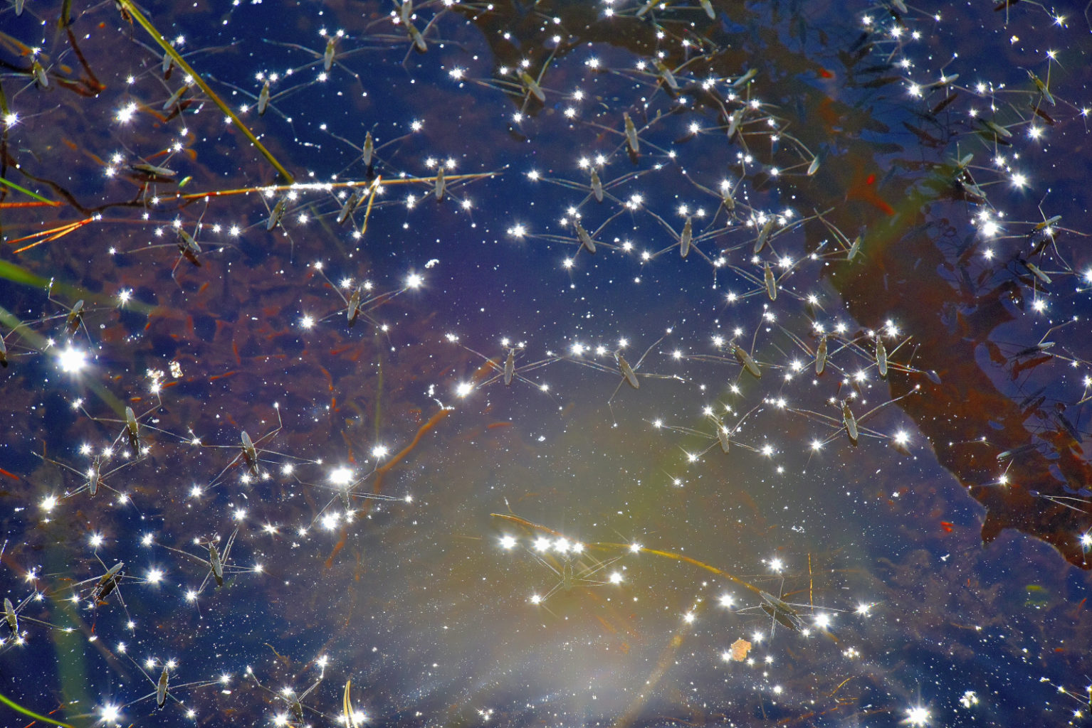 Valokuvaaja: Reijo Juurinen