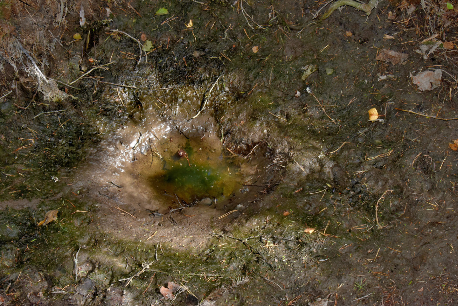 Valokuvaaja: Reijo Juurinen