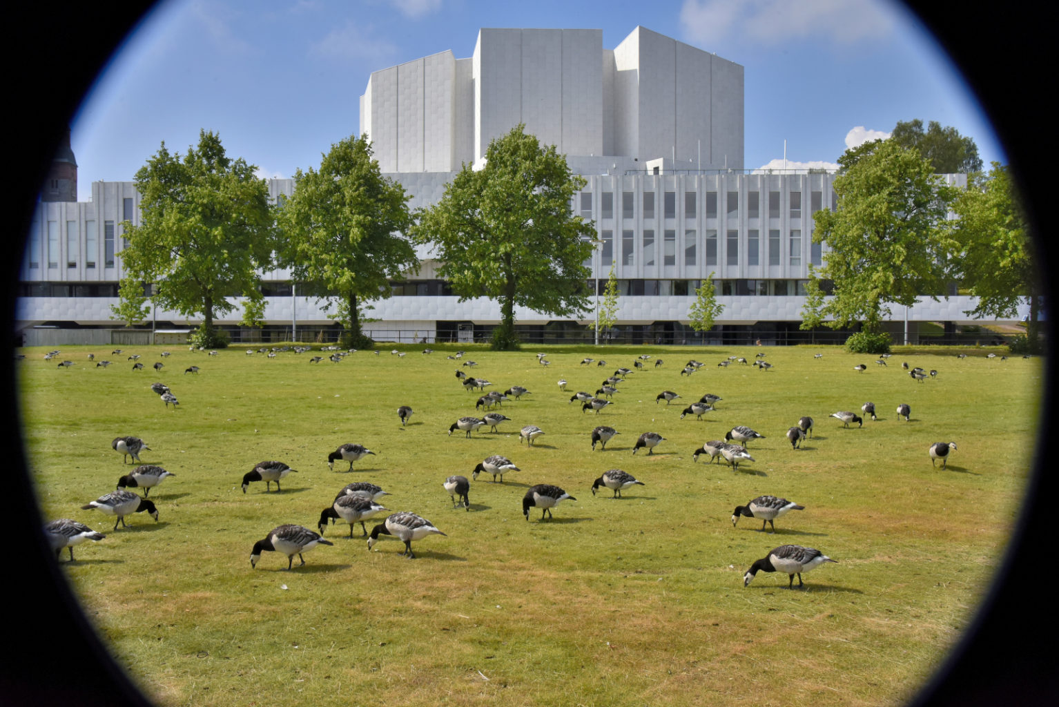 Valokuvaaja: Reijo Juurinen