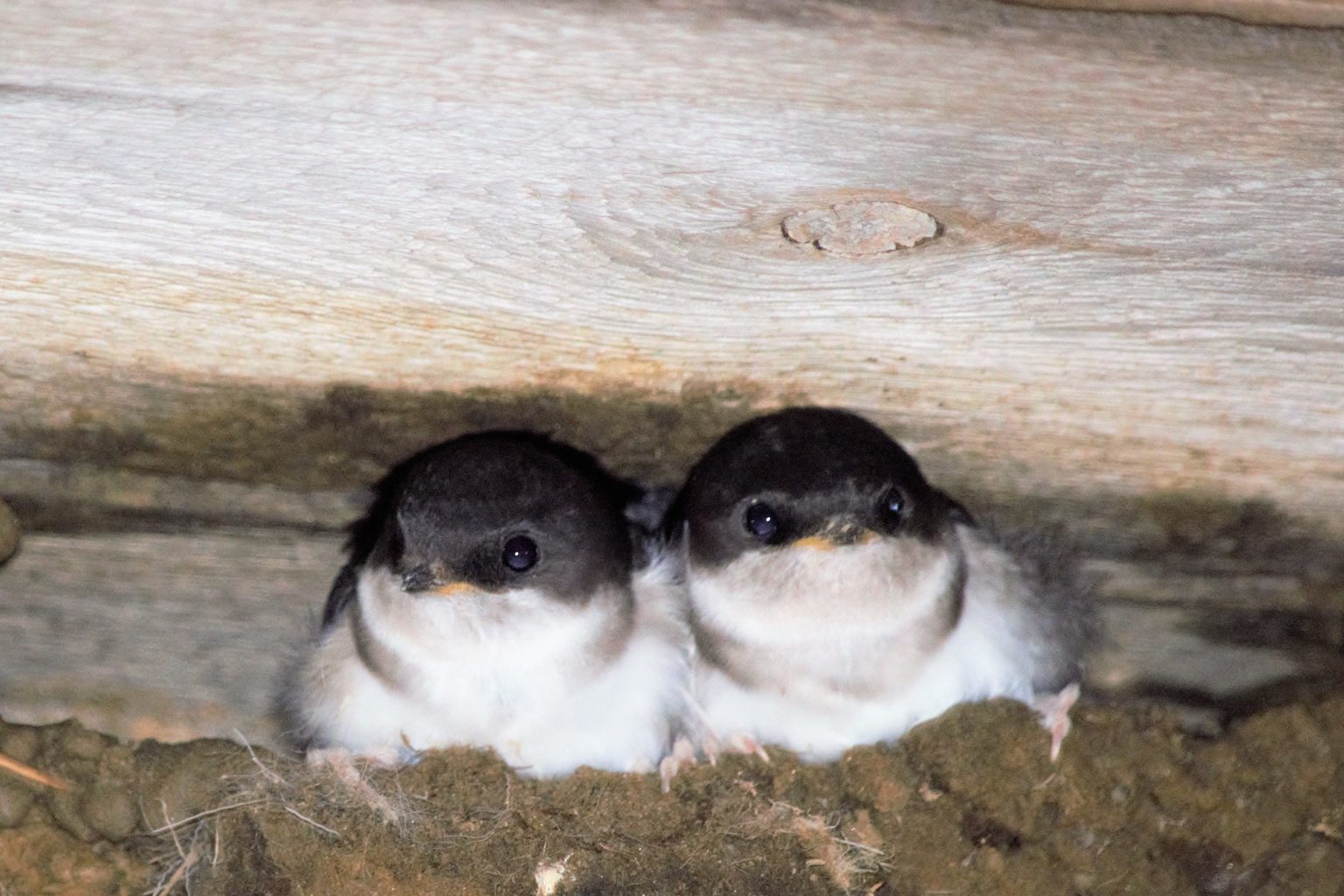 Valokuvaaja: Leena Rissanen