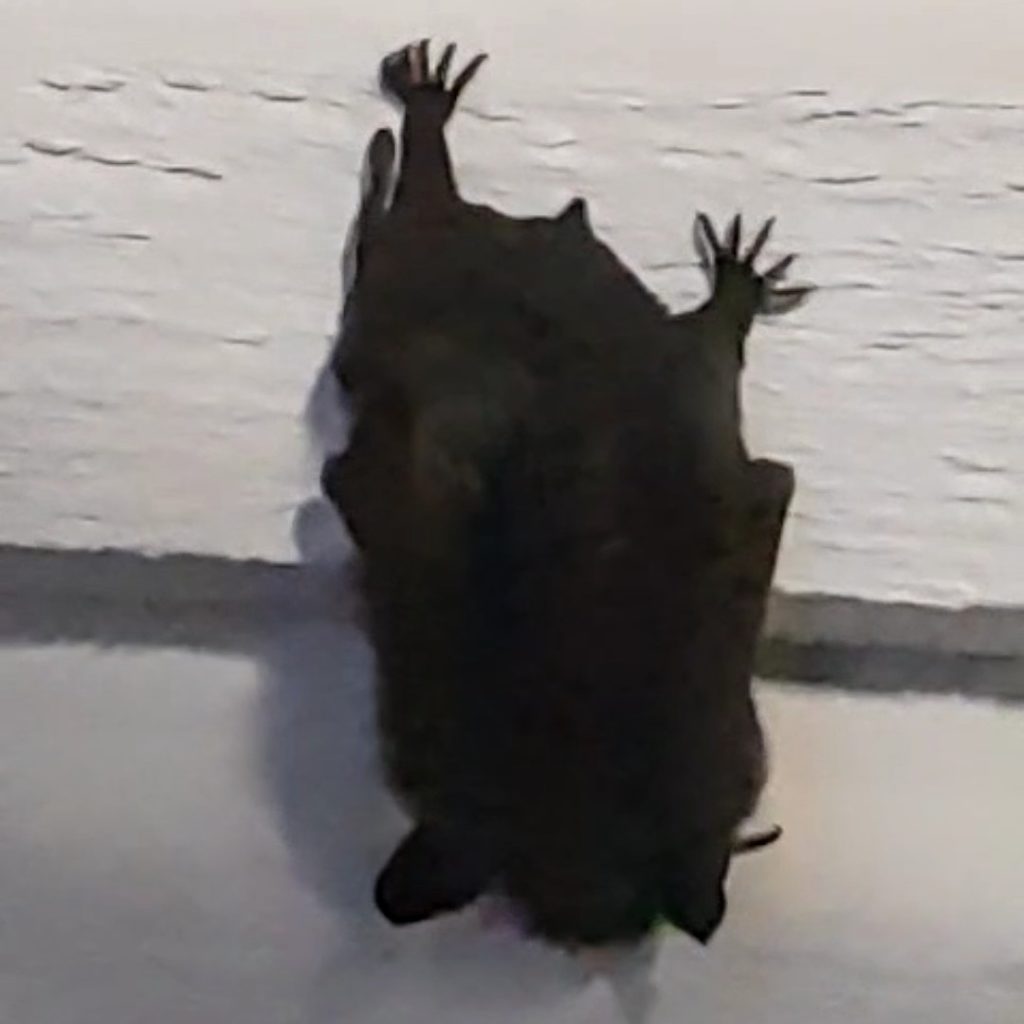 Valokuvaaja: Jaana Luoto