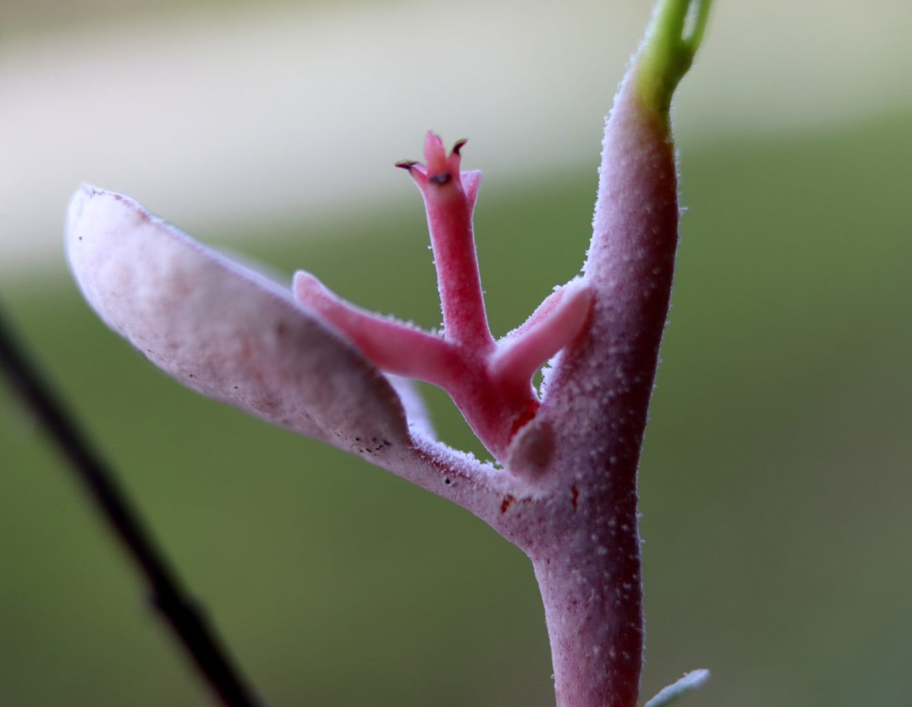 Valokuvaaja: Irja lehtinen