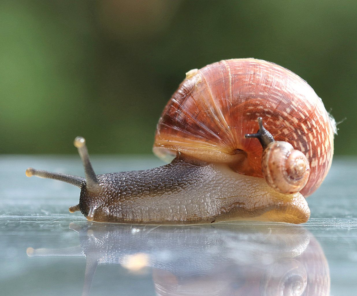 Valokuvaaja: Irja lehtinen