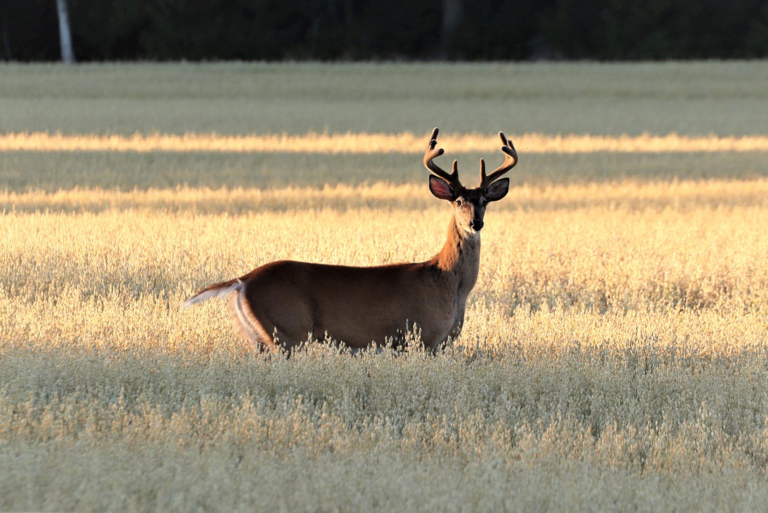 Valokuvaaja: Irja lehtinen