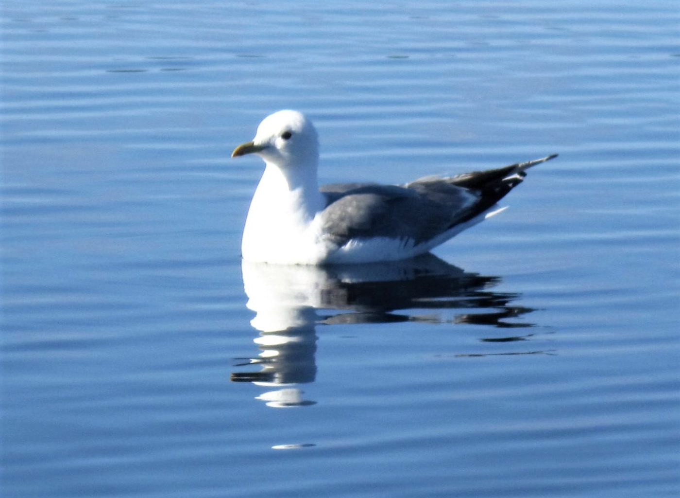 Valokuvaaja: Elina Kautto
