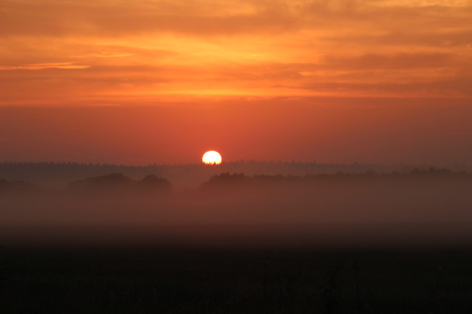 Valokuvaaja: Ville Forss