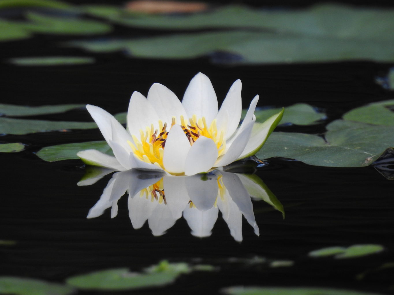 Valokuvaaja: Sirkka Tervo