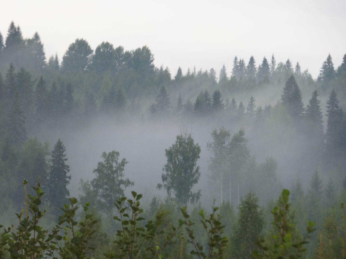 Valokuvaaja: Hannu Rissanen