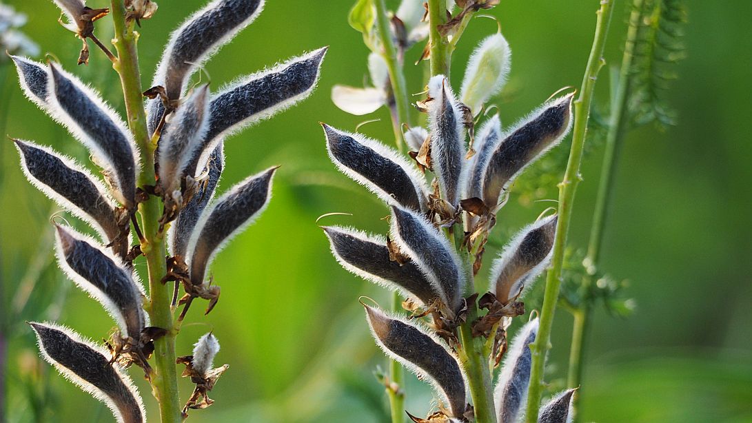 Valokuvaaja: Arja Valtonen