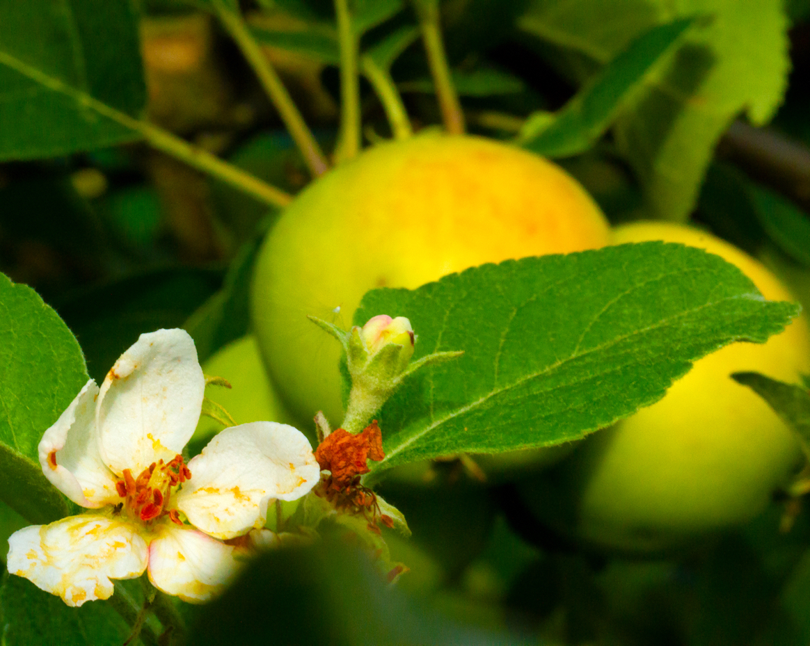 Valokuvaaja: Jarmo Sillanpää