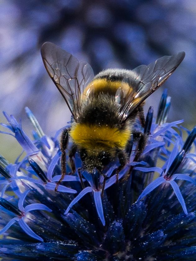 Valokuvaaja: Merja Ollikainen