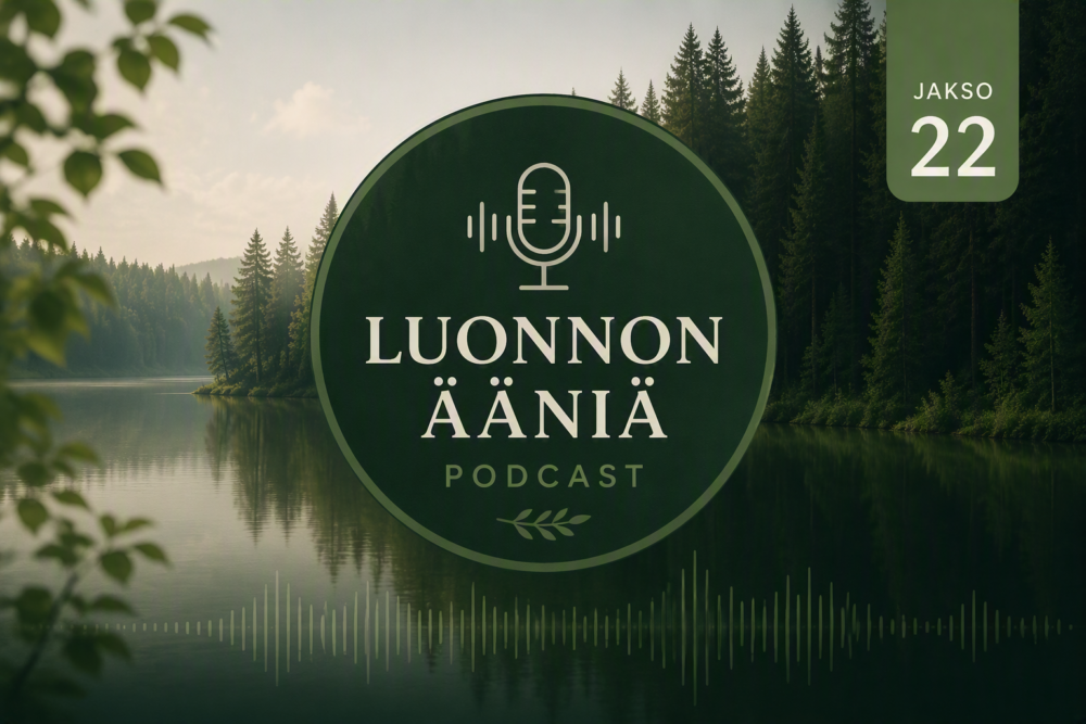 Luonnon Ääni -podcast, jakso 24 – Moottorisaha laulaa kovaa